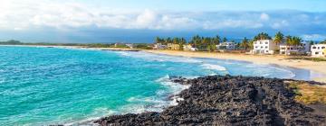 Guest Houses on Isabela Island