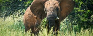 Lodger i Dinokeng Game Reserve