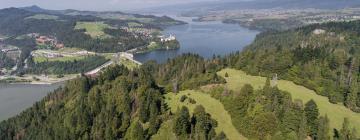 Apartments in Pieniny Mountains