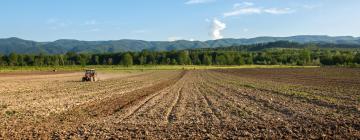 Požega-Slavonia County – hotely