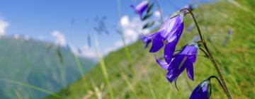 Hótel á svæðinu Naturpark Zirbitzkogel - Grebenzen 