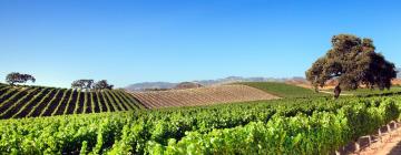 Hôtels dans cette région : Santa Ynez Valley