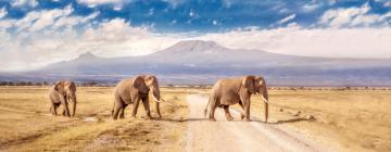 Cabins in Amboseli National Park 