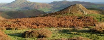 Помешкання типу "ліжко та сніданок" в регіоні Shropshire Hills