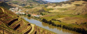 Strada del Porto: agriturismi