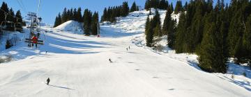 Hoteluri în Pertouli Ski