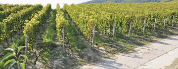 Отели в регионе Tokaj Wine Region