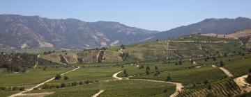 Hoteller i Colchagua Valley vinrute