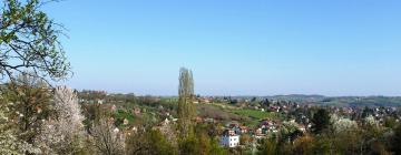 Apartments in Banja Vrujci Spa