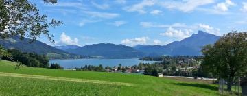 Apartments in Mondsee - Irrsee