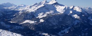 Помешкання типу "ліжко та сніданок" в регіоні Meiringen Hasliberg