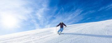 Apartments in Cerro Chapelco Ski