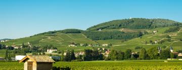 Hoteles en Monts et Coteaux du Lyonnais