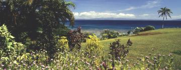 Hotels in Taveuni