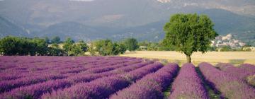 Villas en Plateau de Valensole