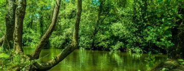 Casas de Temporada em: Parque Natural de Montesinho