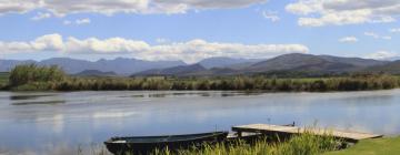 מלונות ידידותיים לחיות מחמד באזור Breede River Valley