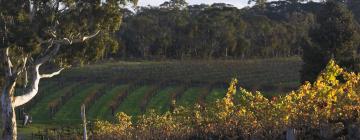 Hôtels dans cette région : Vallée Barossa