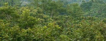 Lodges in Amazonas