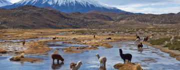 Hoteli u regiji 'Arica y Parinacota'