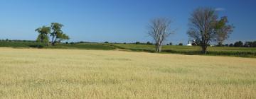 Hôtels dans cette région : Sud-ouest de l'Ontario