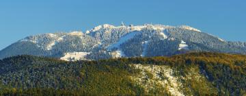 Hôtels avec Piscine dans cette région : Poiana Brașov