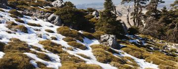 Apartamentos en Sierra de las Nieves