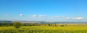 Hôtels dans cette région : Bacău