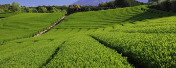 Ryokans en Shizuoka