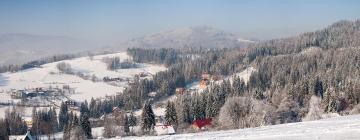 Hotele z basenem w regionie Beskid Śląski