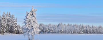 Lomamökit alueella Pohjois-Savo