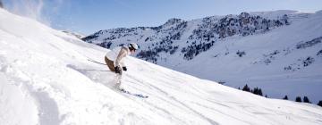 Appartements dans cette région : Ski Amadé