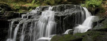 Hoteles en Selva Alto Palatinado