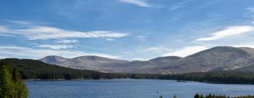 Cabins in Galloway Forest Park