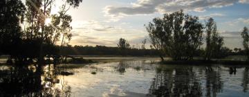 Kakadu – hotely