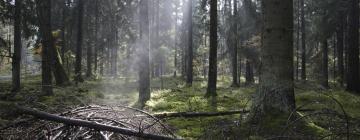 Hoteles en Parque Nacional de Bialowieza