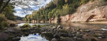 Vakantiehuizen in Gauja National Park