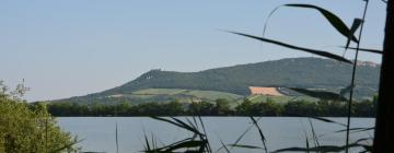 Hotels in Nové Mlýny Reservoir