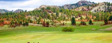 Pet-Friendly Hotels in Black Hills National Forest