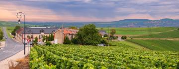 Cheap hotels in Champagne Route