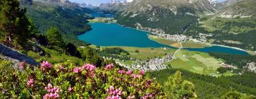 Hotels in Sils