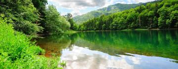 ชาเลต์ในBiogradska Gora National Park