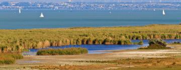 Neusiedler See-Seewinkel National Park vendégházai