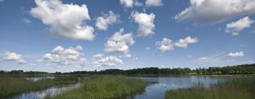 Kampovi u regiji Lake Usma