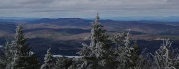 Okemo Mountainのペット同伴可ホテル