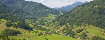 Bed & Breakfasts in der Region Ennstal