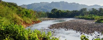 Hôtels dans cette région : Casanare