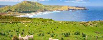 Hotels in Otago Peninsula