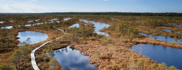 Пансиони със закуска в района на Kemeri National Park