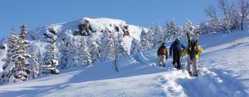 Karpenision Ski – dovolenkové prenájmy